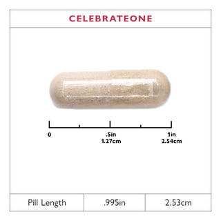 CelebrateONE Bariatric One A Day Multivitamin Capsules, Żelazo Darmowe 